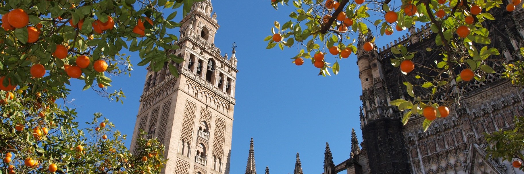 MosaicoSpanish's profile banner image