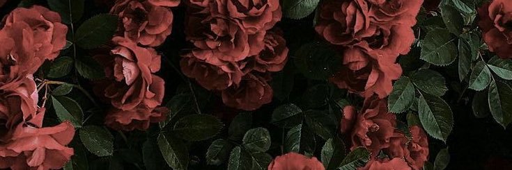 Nammon_DaPan's profile banner image