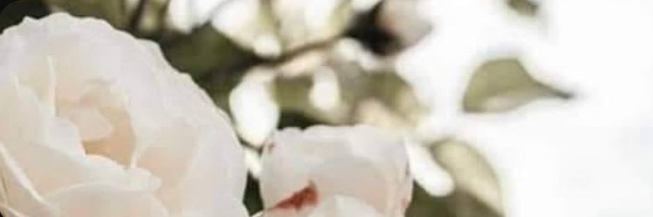 kweenkalki's profile banner image