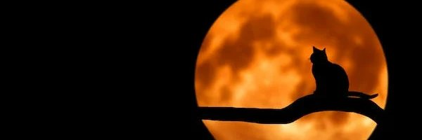 black67th1's profile banner image