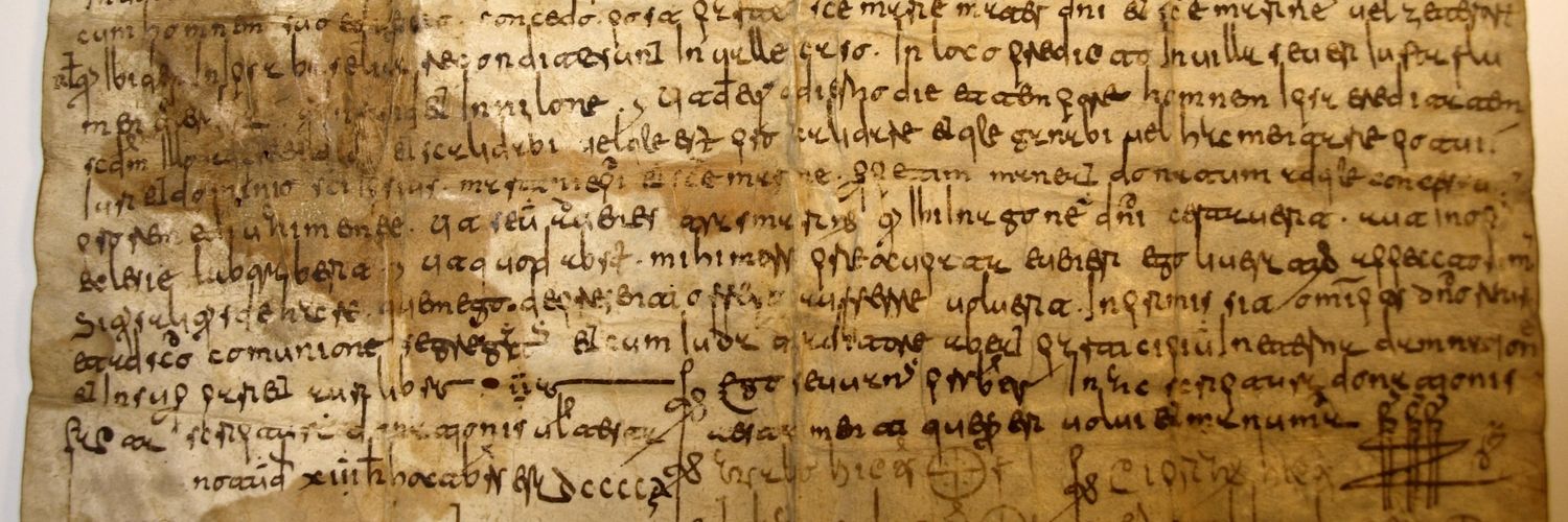 Yania Suárez banner