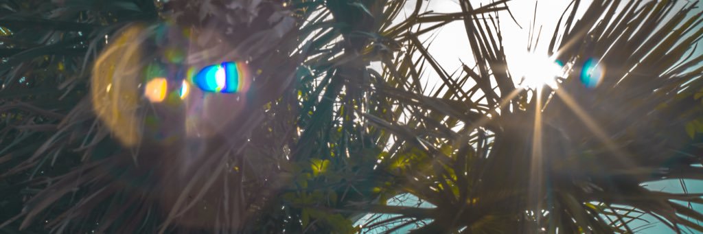 lilfeefif0fum's profile banner image