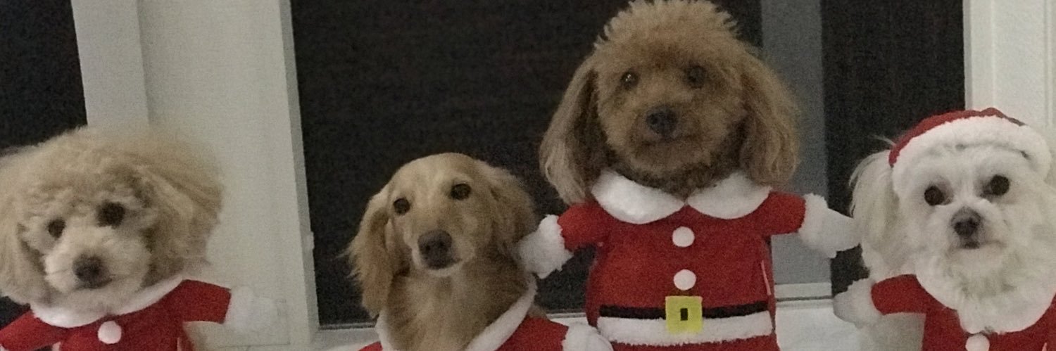 rareju's profile banner image