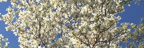 jend123's profile banner image