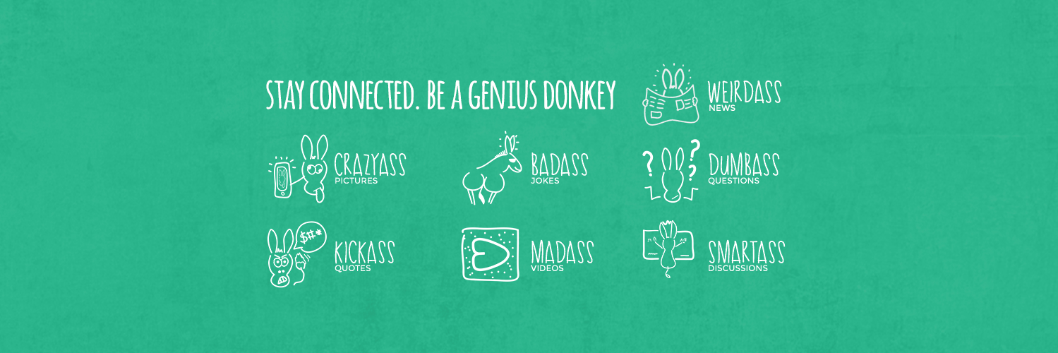 thegeniusdonkey's profile banner image
