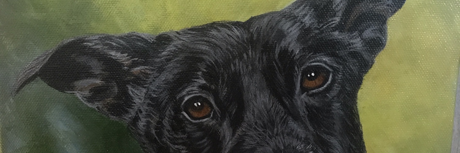 CabinChick222's profile banner image