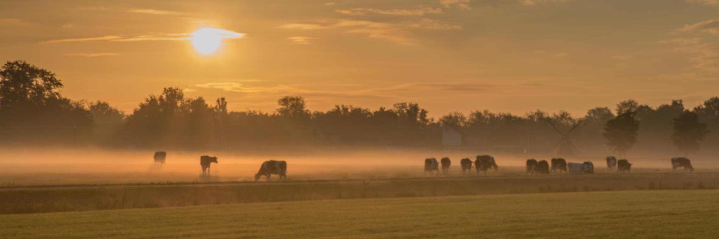 Masterrind_Nl's profile banner image