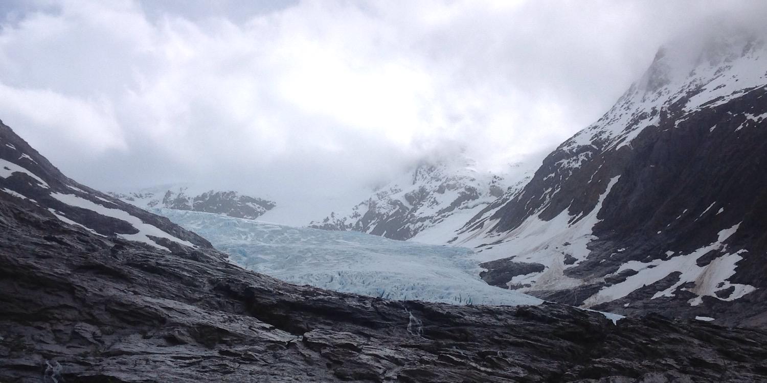 Esteban Tronfi banner