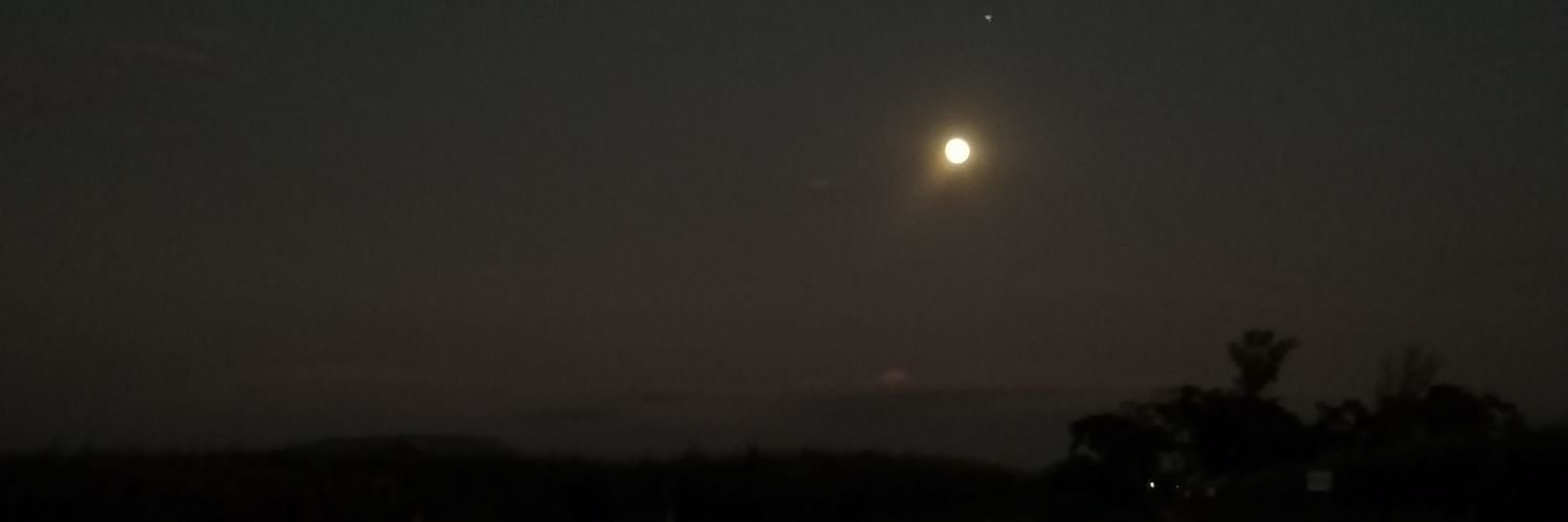 OliveraF3's profile banner image