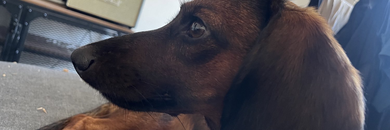 sergiocamilod's profile banner image