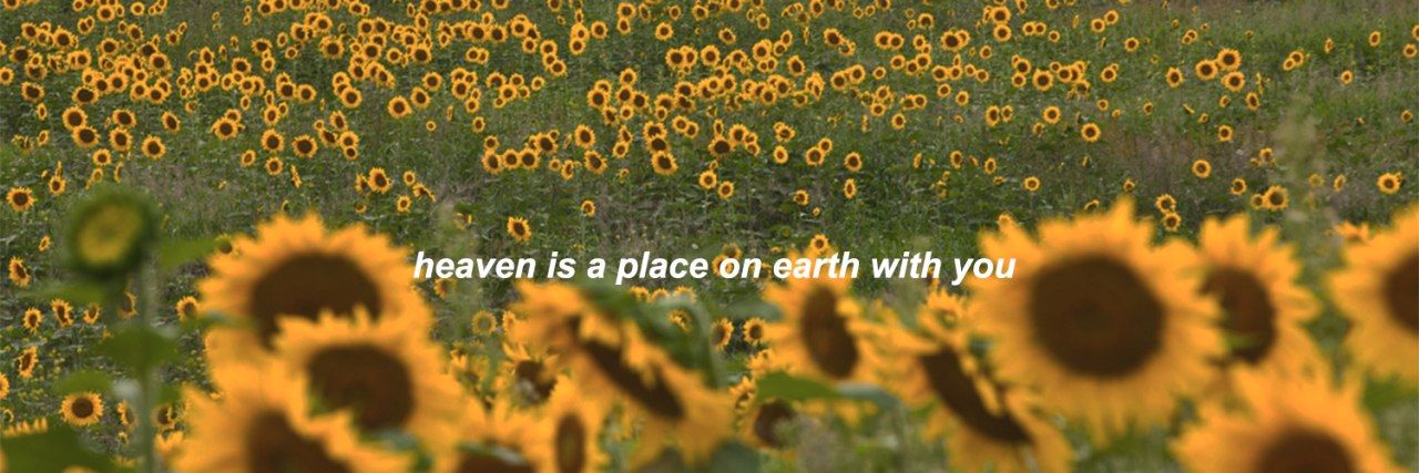 Liz_Delira's profile banner image