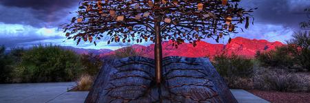 lnewman4742's profile banner image