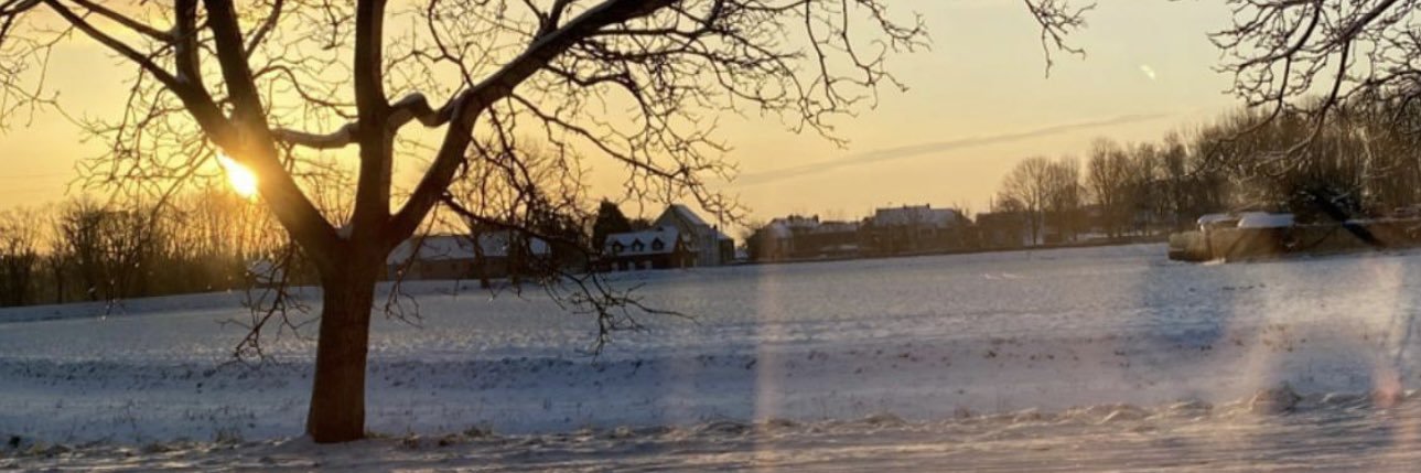 Carlitos   banner