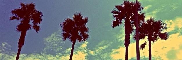 Sweet_Meatt's profile banner image