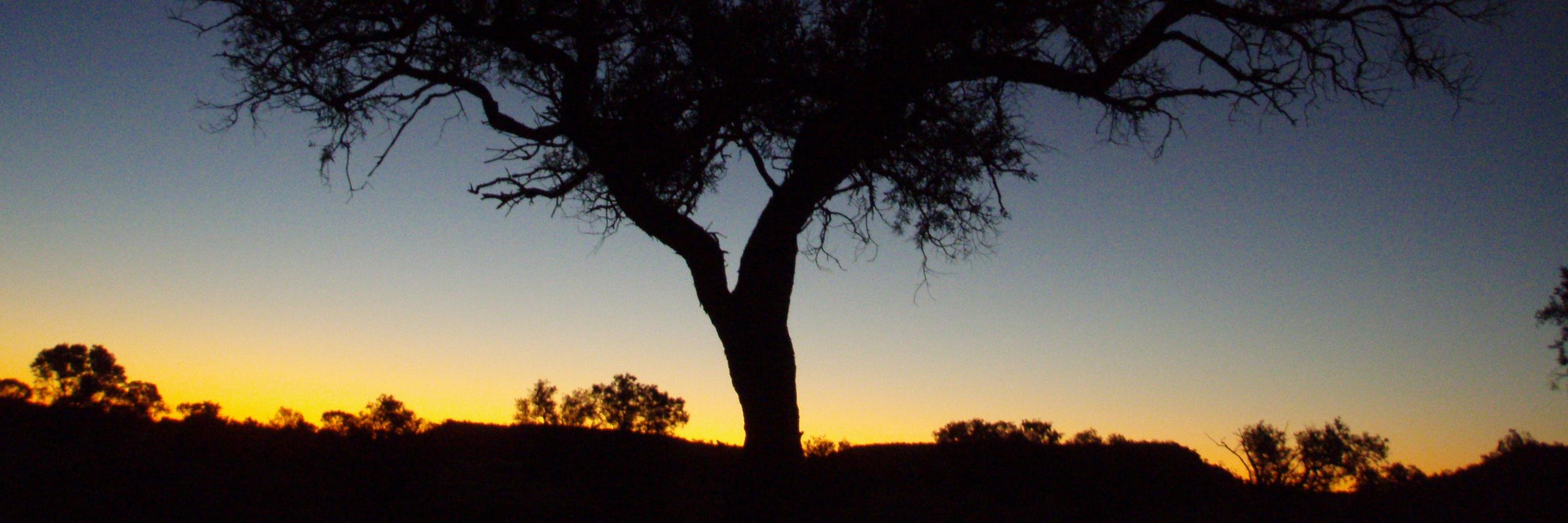 C. W. Magee @cwmagee@aus.social banner