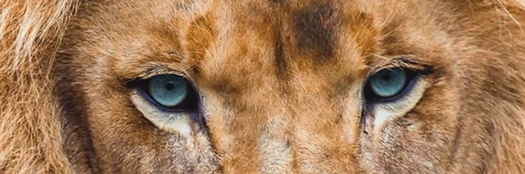 alebancia's profile banner image