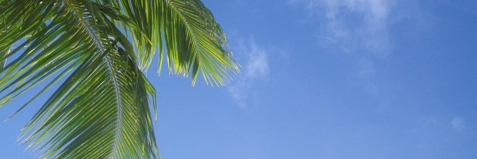megglevene's profile banner image