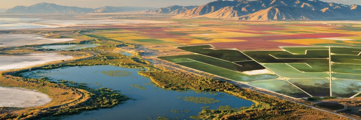 Neal Spackman banner