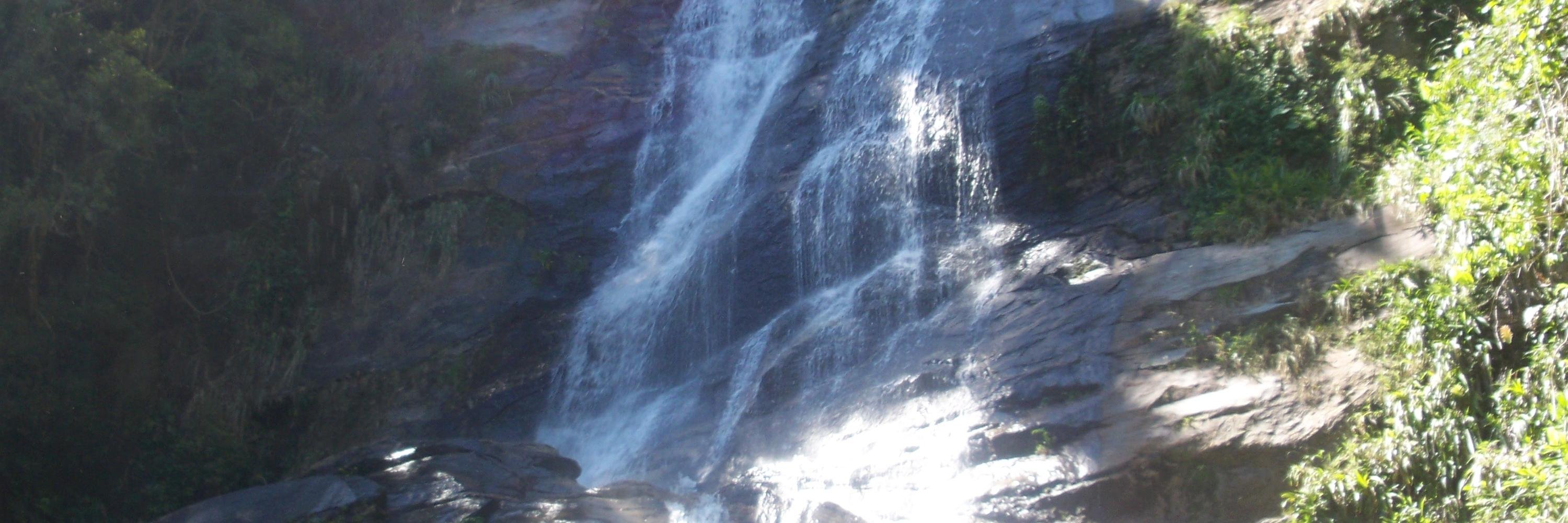 Dr. Alana Biggers banner