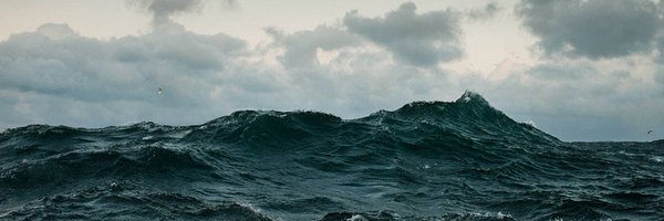 y_molodtsov Profile Banner
