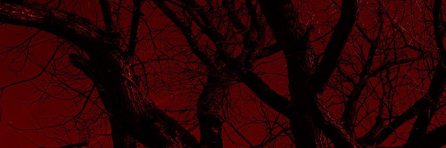 nickelodeion's profile banner image