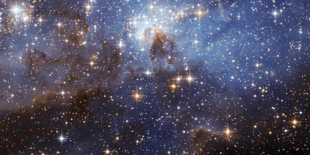 PHS_Learning Support banner