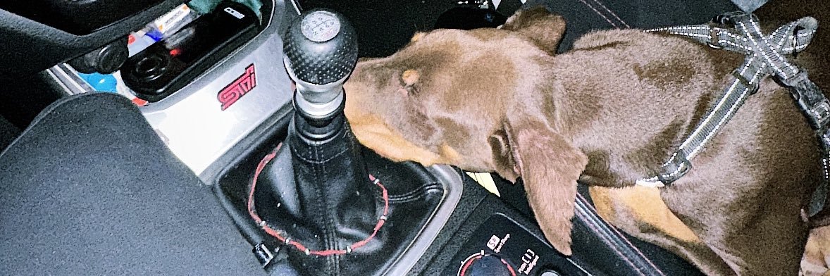 jasonsramos's profile banner image