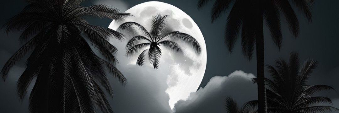 aquickpeek's profile banner image