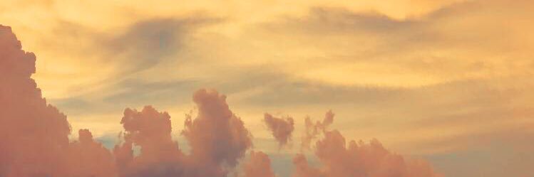 olivia__drago's profile banner image