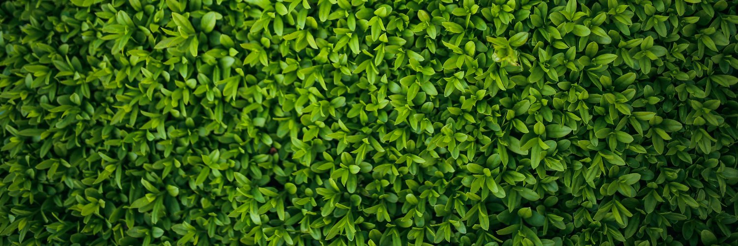 ParadigmScience's profile banner image