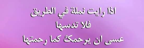 abduhalgutamy's profile banner image