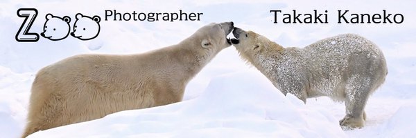 金子貴樹 動物園写真家 Profile Banner