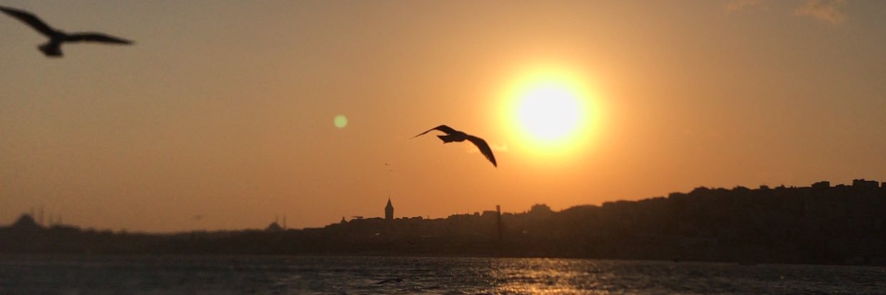 muazayyildiz's profile banner image