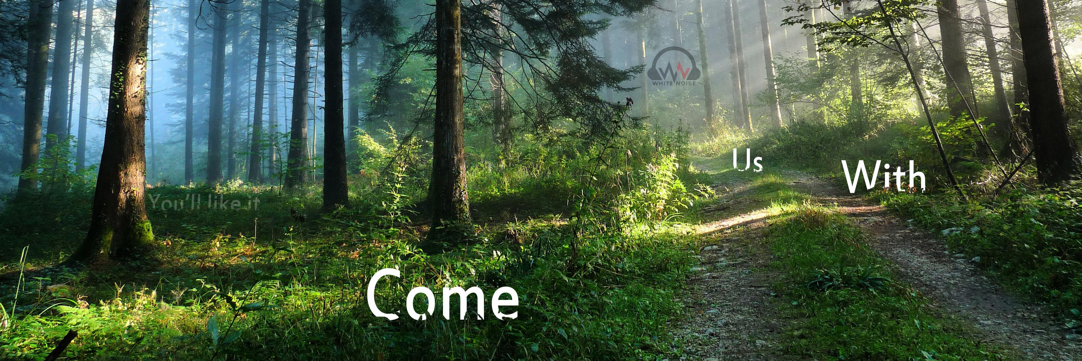 White Noise SA banner