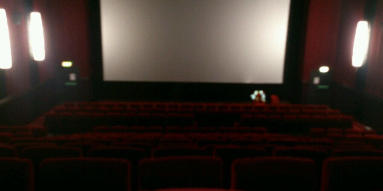 Dude-adjacent 🇮🇪🇵🇸 banner