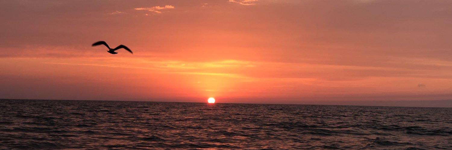 ozanfazlioglu's profile banner image