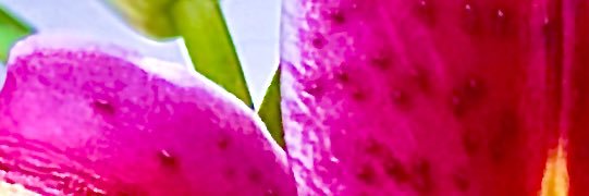 srmco5102's profile banner image