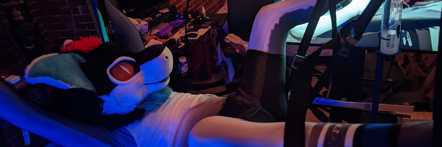 Perv_A_Durp's profile banner image