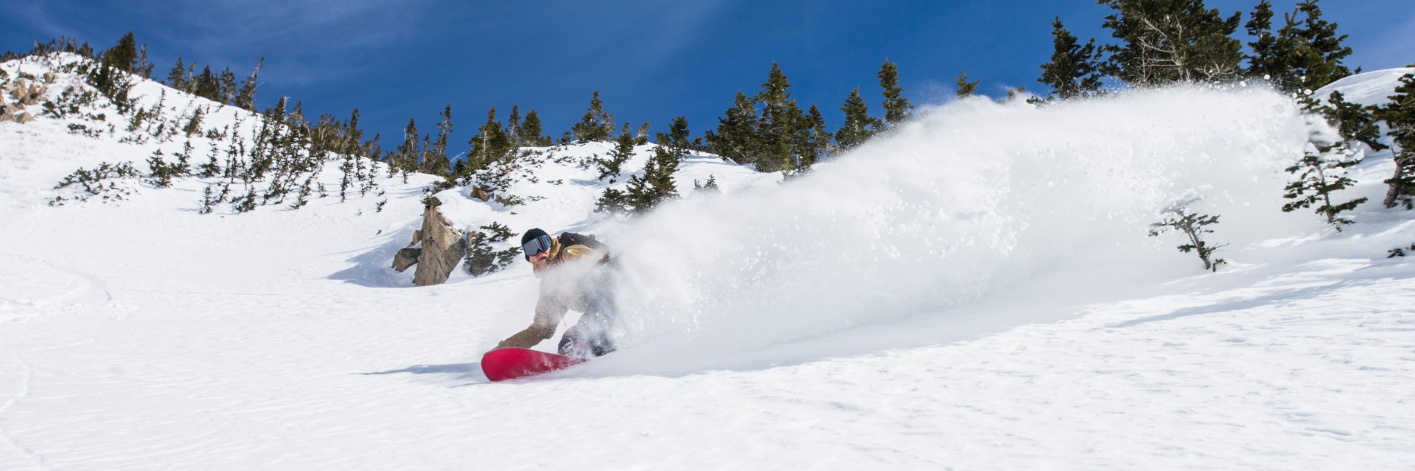 SIMS Snowboards banner