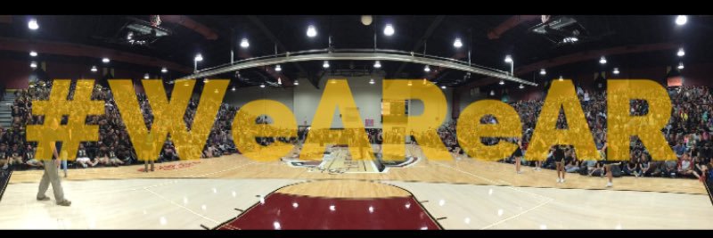ARHS Swamp Fox banner