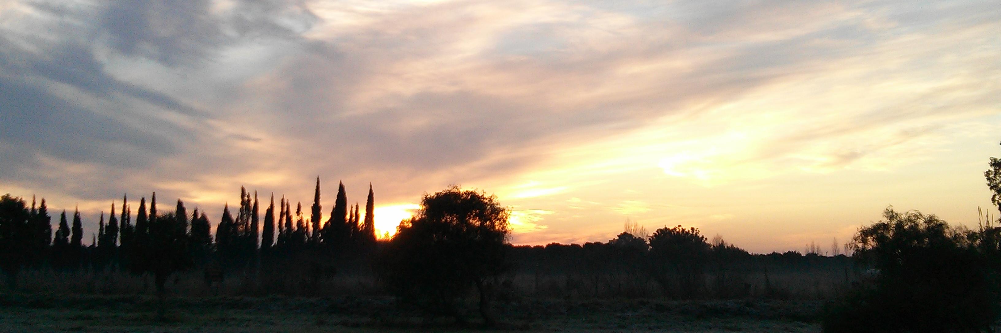 fabipoz11's profile banner image