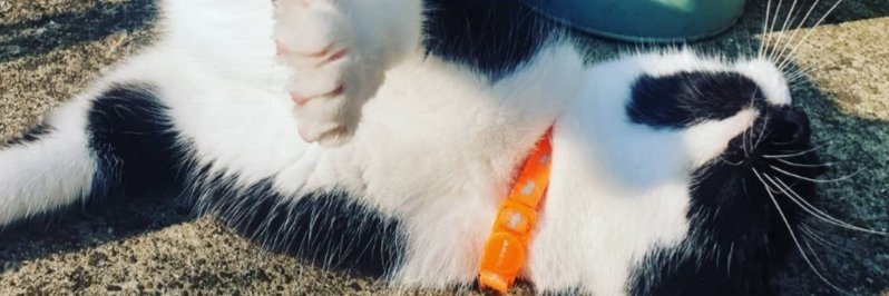 Grace Garland banner