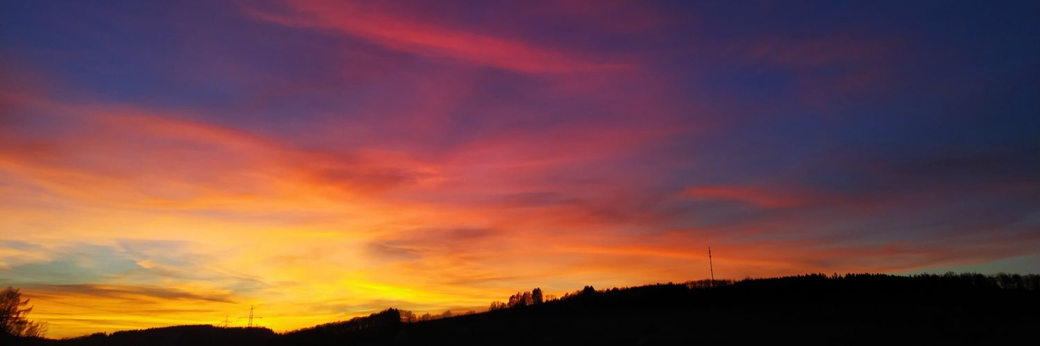 MissFeronya 🦋 banner