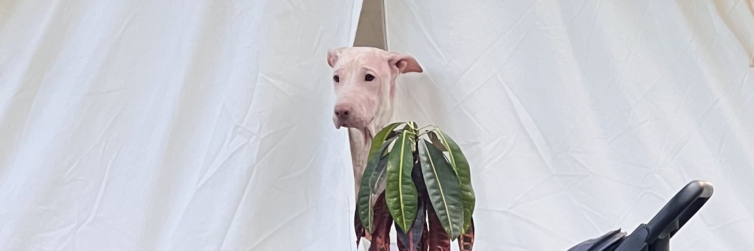 GheeioCotas's profile banner image