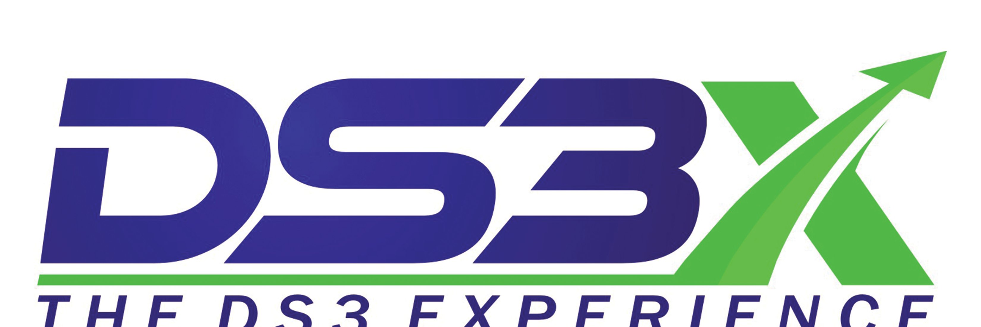 DS3experience's profile banner image