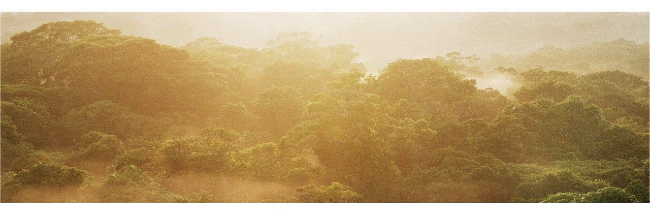 Patrick Meir banner