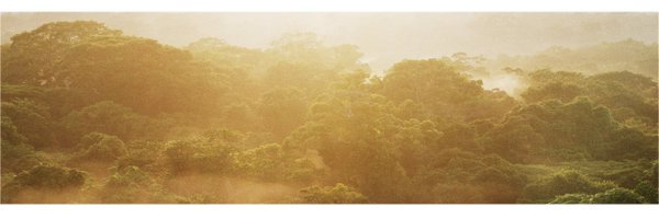 pwmeir Profile Banner