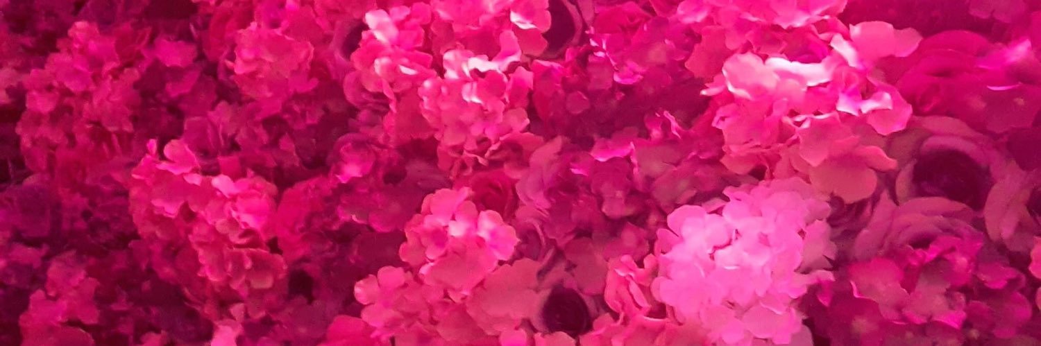 kezzabbe13's profile banner image