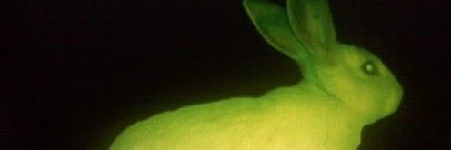 titanium3aby's profile banner image