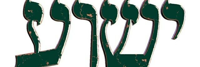 tigerdiamond2's profile banner image